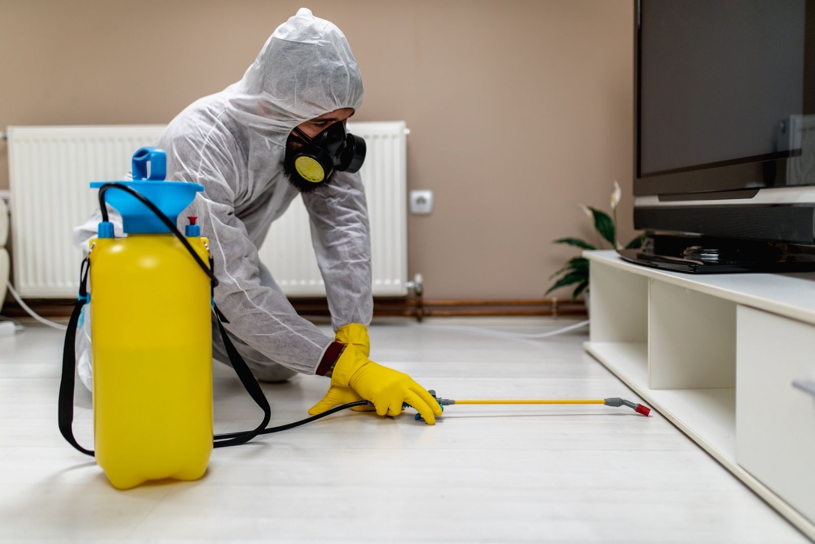 impresa di pulizie sanificazione impresa di pulizie sanificazione